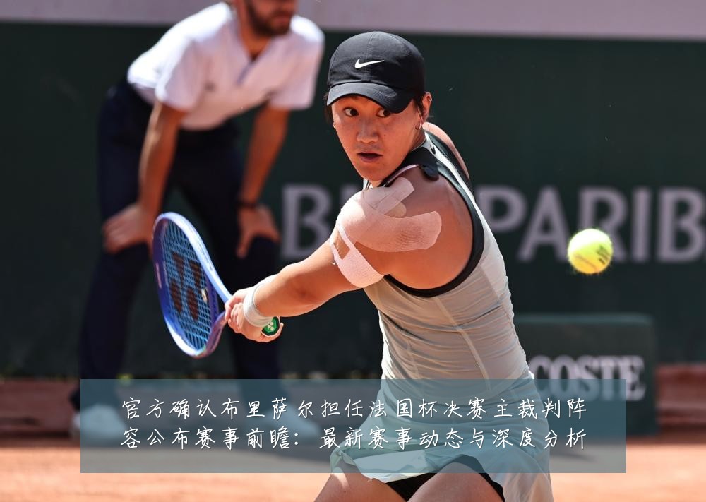 官方确认布里萨尔担任法国杯决赛主裁判阵容公布赛事前瞻：最新赛事动态与深度分析
